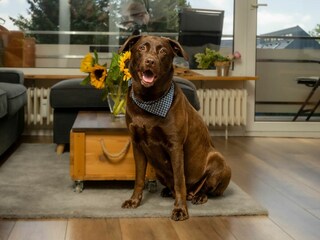 Ferienwohnung Wenningstedt Ausstattung 20