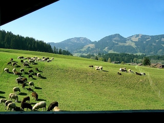 Blick aus der Wohnung  3  Westen