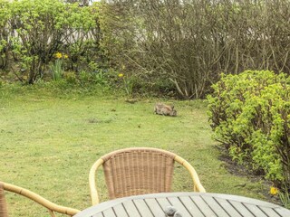 Ferienwohnung Tinnum Außenaufnahme 3