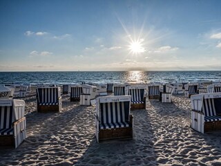 Ferienwohnung Westerland Umgebung 12