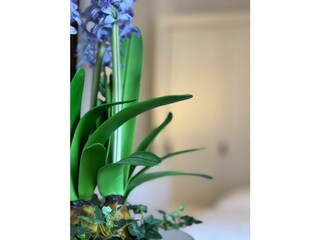 Ferienwohnung Wenningstedt Außenaufnahme 15