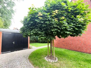 Ferienwohnung Tinnum Außenaufnahme 3
