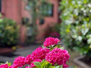 Ferienwohnung Tinnum Außenaufnahme 5