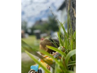 Ferienwohnung Tinnum Außenaufnahme 8