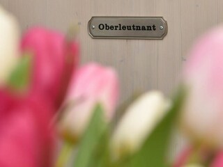 Ferienwohnung Westerland Ausstattung 25