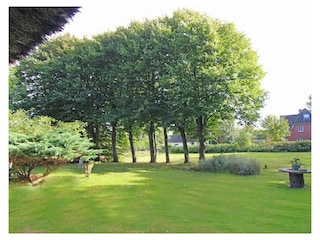 Ferienwohnung Archsum Umgebung 26