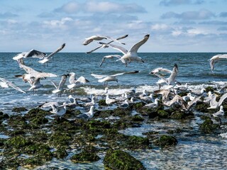 Ferienwohnung Tinnum Umgebung 9