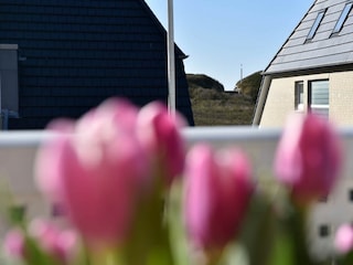 Ferienwohnung Westerland Außenaufnahme 7