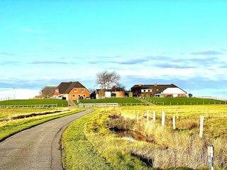 Ferienwohnung Wyk auf Föhr Außenaufnahme 5