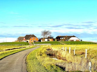 Ferienwohnung Wyk auf Föhr Außenaufnahme 4
