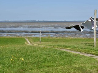 Ferienwohnung Wyk auf Föhr Außenaufnahme 17