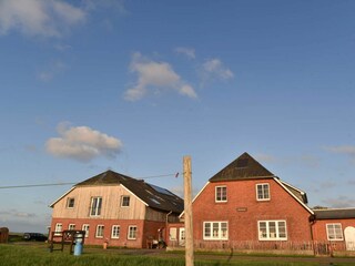 Ferienwohnung Wyk auf Föhr Außenaufnahme 35
