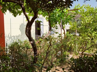 Apartamento de vacaciones Mali Losinj Grabación al aire libre 9