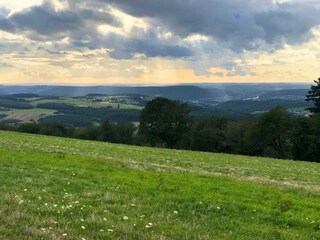 Appartement Pellingen Omgeving 24