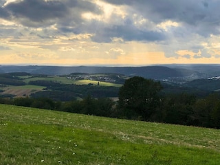 Apartment Trier Environment 21