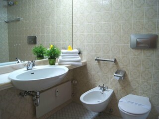 Appartamento Winterberg Caratteristiche 8