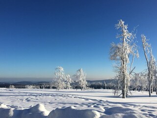 Appartement Winterberg Omgeving 12
