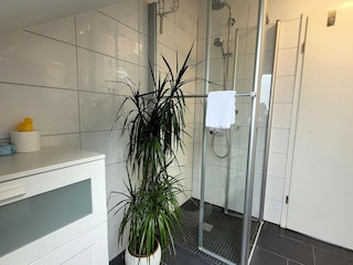 Chalet Winterberg Features 26