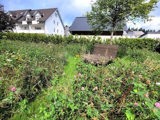 Chalet Winterberg Environment 43