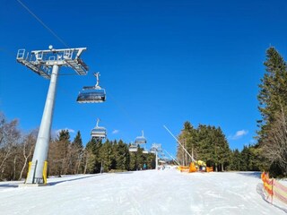 Chalet Winterberg Omgeving 48