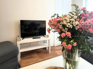 Appartamento Winterberg Caratteristiche 11