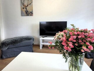 Appartamento Winterberg Caratteristiche 5