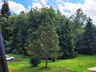 Apartment Winterberg Outdoor Recording 1