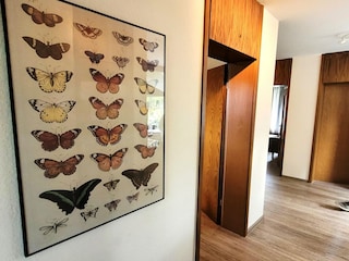 Apartment Winterberg Features 20