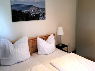 Appartamento Winterberg Caratteristiche 9