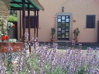 Ferienhaus Bolsena Außenaufnahme 22