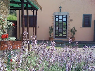 Vakantiehuis Bolsena Buitenaudio-opname 22