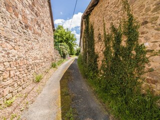 Type de propriété : Ferme Jumilhac-le-Grand Environnement 24