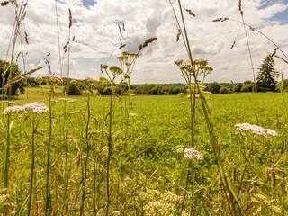 Fattoria Jumilhac-le-Grand Ambiente 25