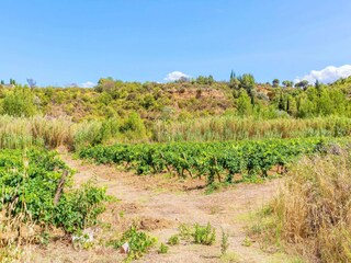 Holiday house Saint-Denis Environment 24