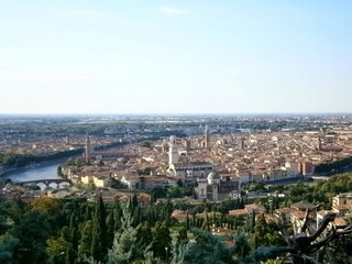views of the surroundings