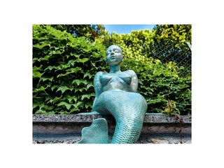 SCULTURE
