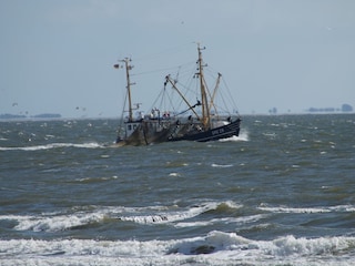 Fischkutter vor dem Strand