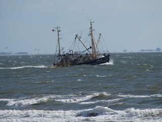 Vakantieappartement Borkum Omgeving 21