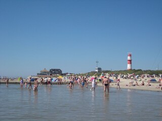 Vakantieappartement Borkum Omgeving 25