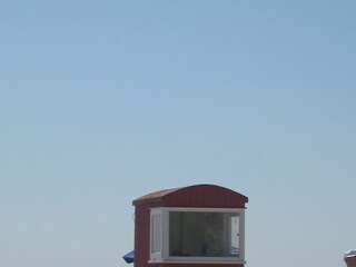 Apartamento de vacaciones Borkum Entorno 31