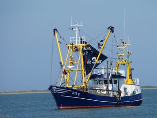 Appartamento per vacanze Borkum Ambiente 38