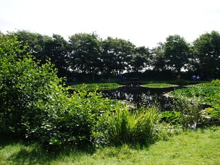 Apartamento de vacaciones Borkum Entorno 39