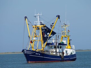 Appartamento per vacanze Borkum Ambiente 28