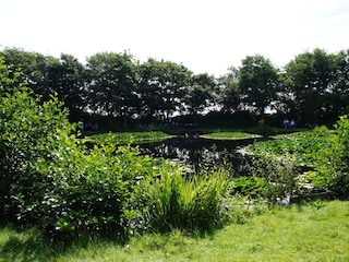 Appartamento per vacanze Borkum Ambiente 30