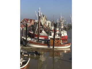 Hafen