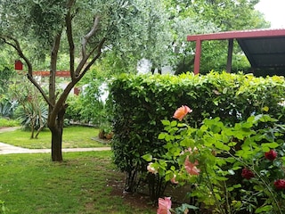 Apartment Njivice Außenaufnahme 6