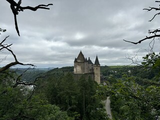 IMG_2603