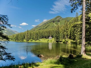 Chalet Hohentauern Buitenaudio-opname 9