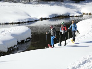 Chalet Hohentauern Environnement 32