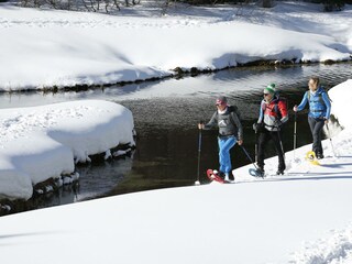 Chalet Hohentauern Umgebung 28